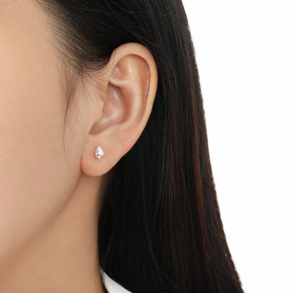 Cute Mini Holiday Gift Conch 925 Sterling Silver Stud Earrings - Noora & Co.